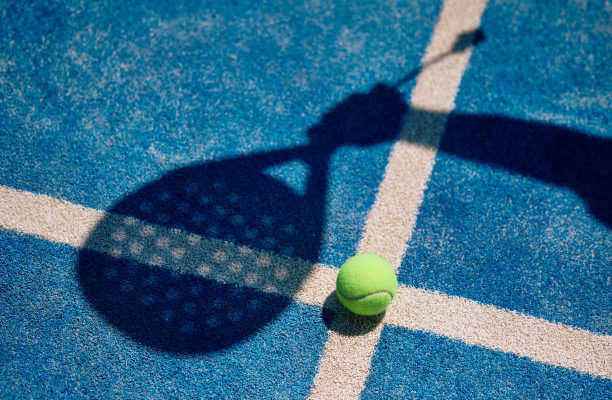 Entreprise construction terrain de pickleball